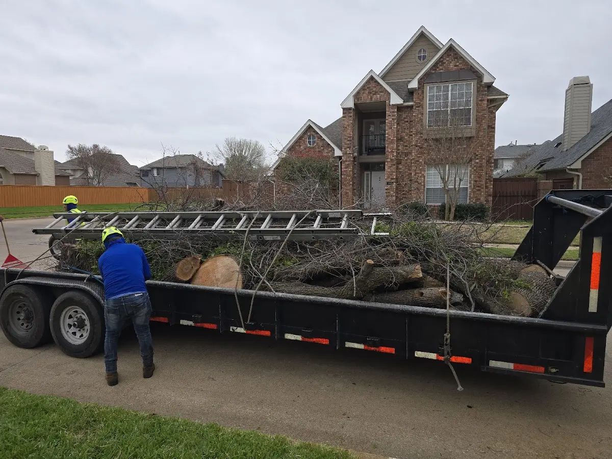 Expert Tree Removal with proper safety equipment in Haynesville